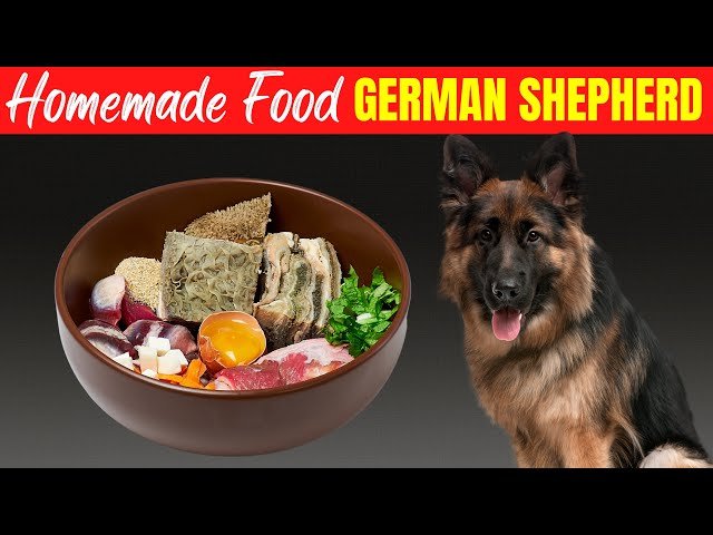 Best Homemade Dog Food Recipes for German Shepherds